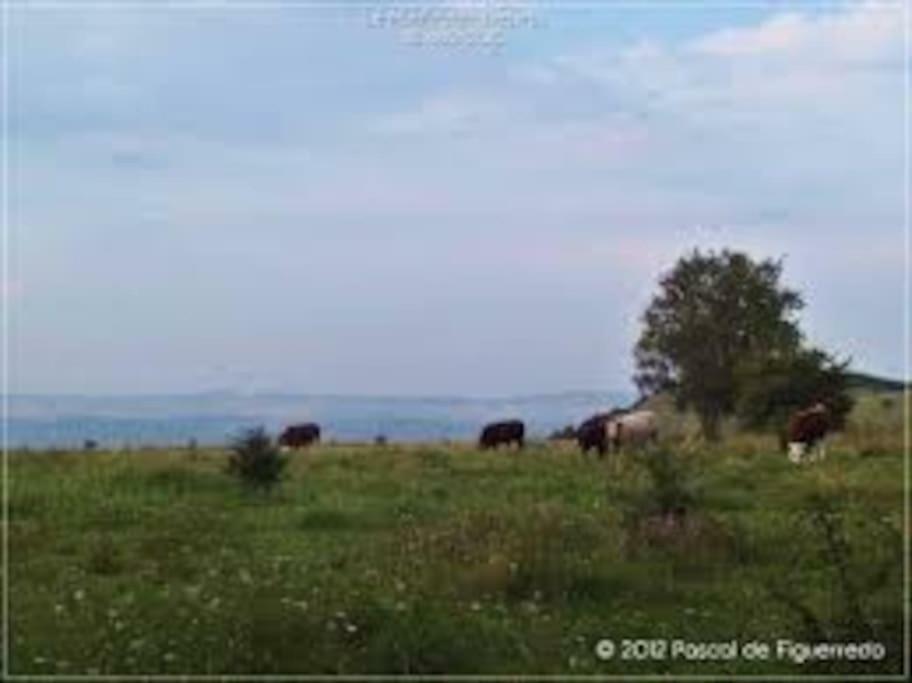 La Ferme Des Pierrettes Villa Menneville Exterior photo